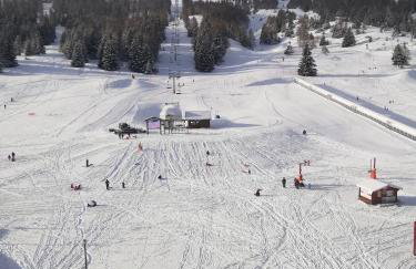 Aux pieds des pistes refait à neuf - Foto 10