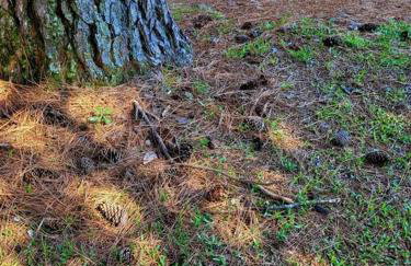 Casa da Vó Hospedagem Afetiva - Foto 21