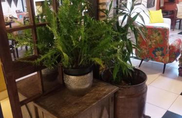 Casa na 1a adega de São Roque - Photo 14