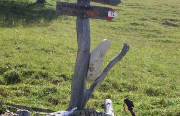 Akelei Comfortable Holiday Residence - Foto 22