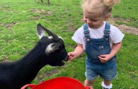 Clover Lodge - Foto 19