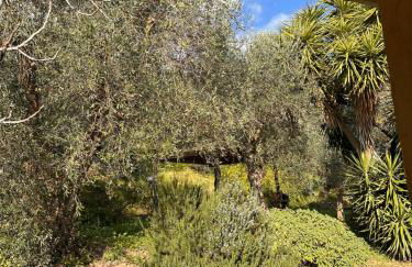 Podere Val di Vico - Foto 23