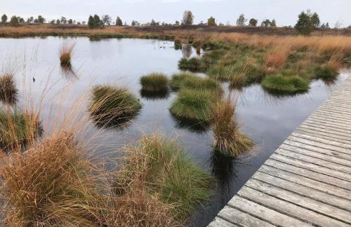 Alt Monjoie - Foto 33