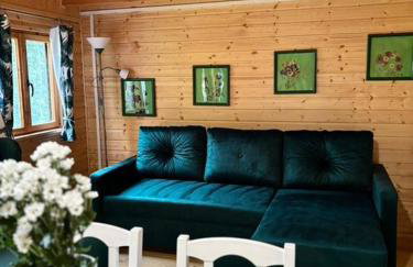 Butelkowa Zieleń - Foto 26