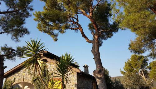 Villa Fior di Lavanda - Photo 1