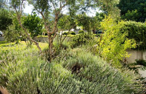 Villa Lavanda - Photo 70