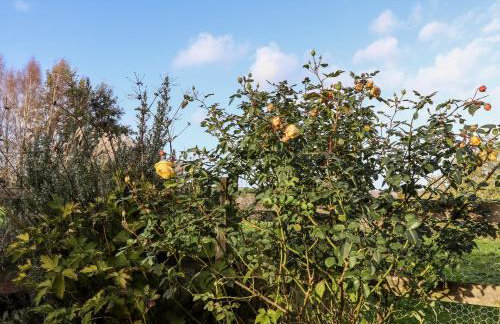 Tillingham View - Photo 28