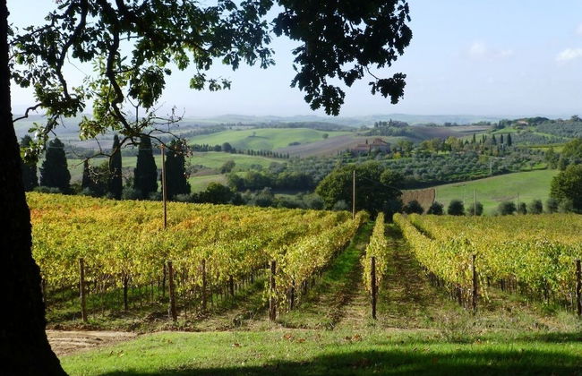 Agriturismo Fattoria Del Colle - Foto 30