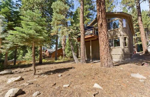 The Speckled Gem - Foto 36