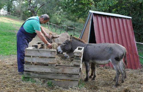 Agriturismo L'Accolta - Foto 9