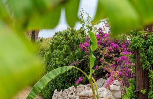 Luxury villa by the port - Foto 13