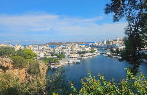 Iselia House - Photo 37