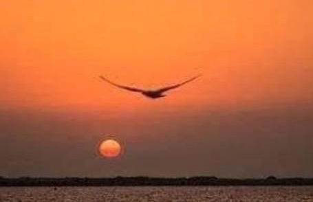 Sa Stella E Monti - Foto 32