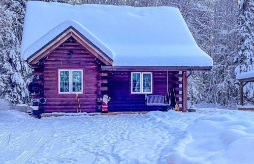 Northern Lights Log House w/ Sauna - Foto 23