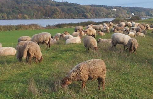 Elbe-Ferien 2 - Foto 22