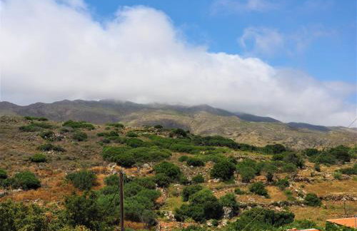 Traditional Cretan Villa - Photo 36