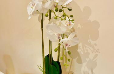 Appart'Hôtel - Au Vieux Palais - Photo 75