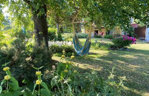 Haflingerstall - Foto 53