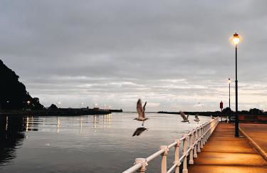 Estudio 33 - Foto 46