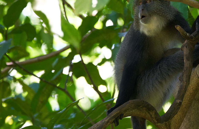 Curi Chancha Reserve Hiking - Photo 3