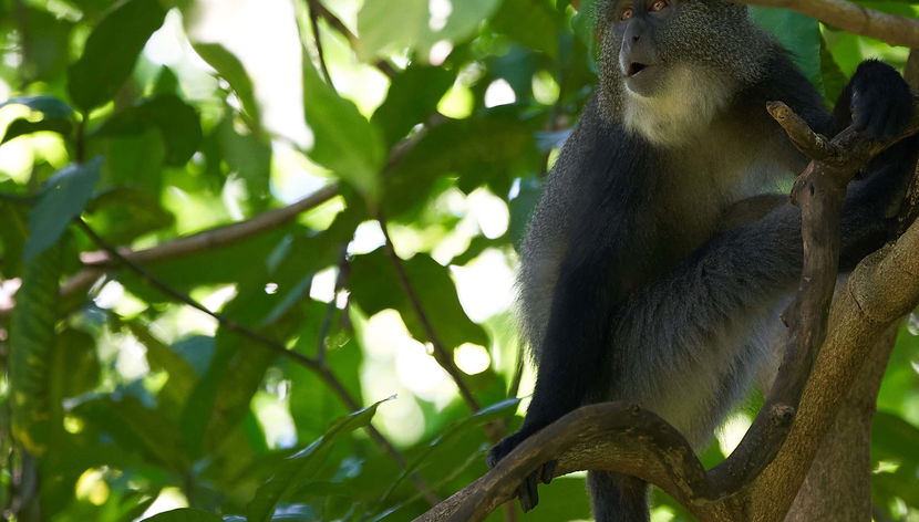 Curi Chancha Reserve Hiking