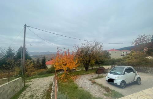 Forest House - Photo 18