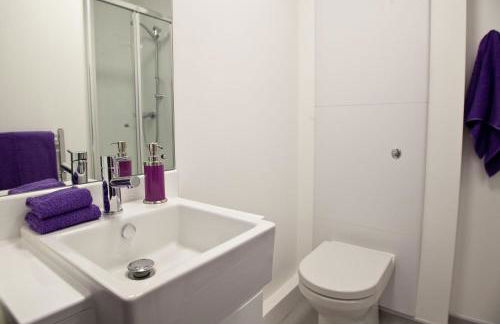 For Students Only CRM OLIB London - Foto 22