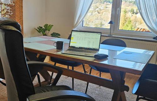 Ferienwohnung Hanfdell am Bostalsee, 90 qm, großer Balkon, barrierefrei & hundefreundlich - Photo 66