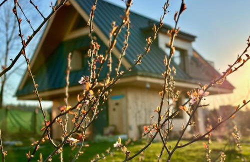 Domek Tatry - Stacja Wierchowa 972 m - Foto 39