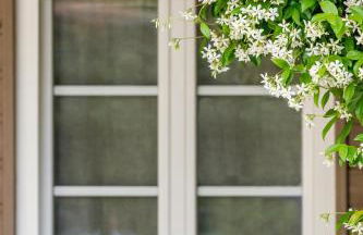 Les Suites d'Aliénor, Suite Jasmin - Foto 27