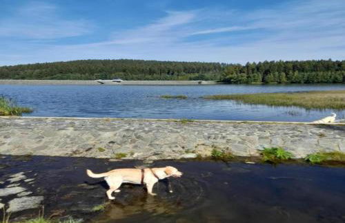 Ferienhaus in Vogtland - Foto 62