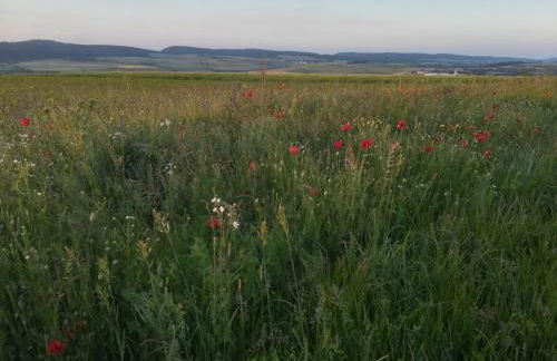 Ferienwohnung am turm - Foto 13