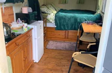 Snug & Secluded Lakeside Shepherds Hut 'Carp' - Foto 5