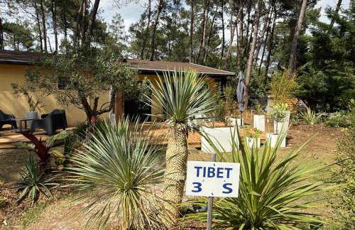 Euronat naturist studio - Foto 2