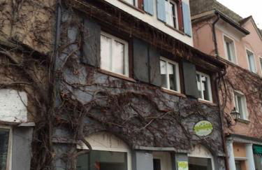 Ferienwohnung in der Innenstadt - Foto 1