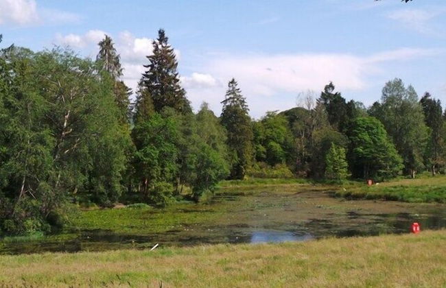 Moffat Manor Holiday Resort - Photo 34