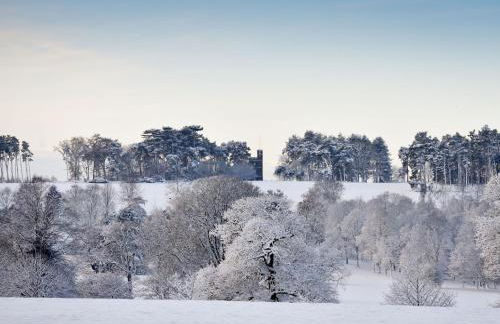 The Knoll Tower - Foto 28