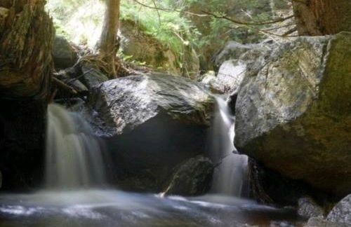 Ferienhaus Dr. Müller - Foto 37