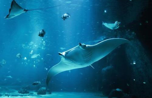 Aparthotel Des 2 Caps - Foto 18