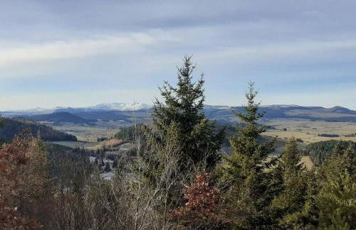 La Pierre des Volcans Chaleureux Calme Champêtre - Foto 41