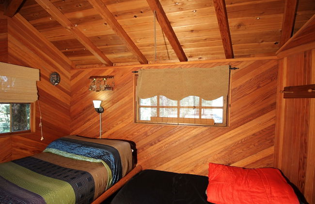 Out 'N' About Treehouse Treesort - Photo 40