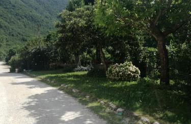 Agriturismo Sant'Erasmo - Foto 58