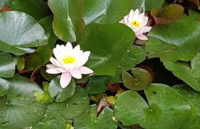 CORTE dei SANTI Cortina 2026 - Foto 18