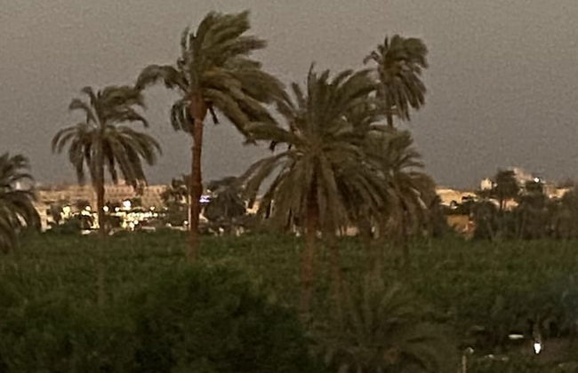 Lemon Tree Guest House and Swimming Pool - Foto 11