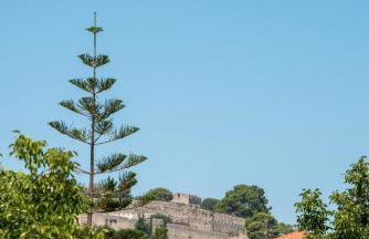 Kosta's Apartments - Foto 74