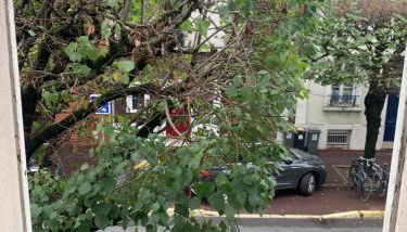 Charmant 2 pièces rénové parc des expositions porte de Versailles - Foto 3