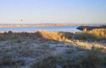 Piso da Horta en Aguiño, Ribeira, Galicia - Foto 30