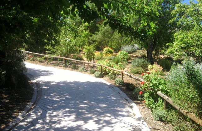 Casa Bi Rosario - Quinta Amoreira - Foto 21