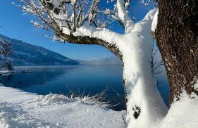 Ferienwohnung Alpseeliebe - Photo 28