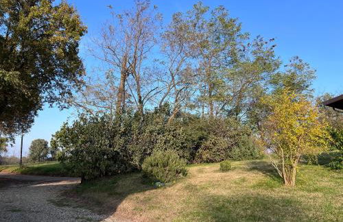 Al Vigneto - Photo 3